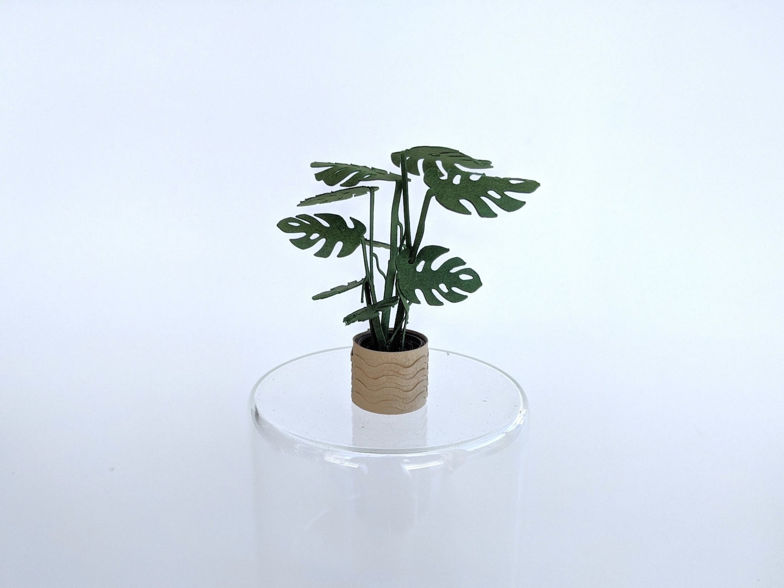 3D Mini Paper Plant Kit Easy Precut Paper Craft Activity Etsy