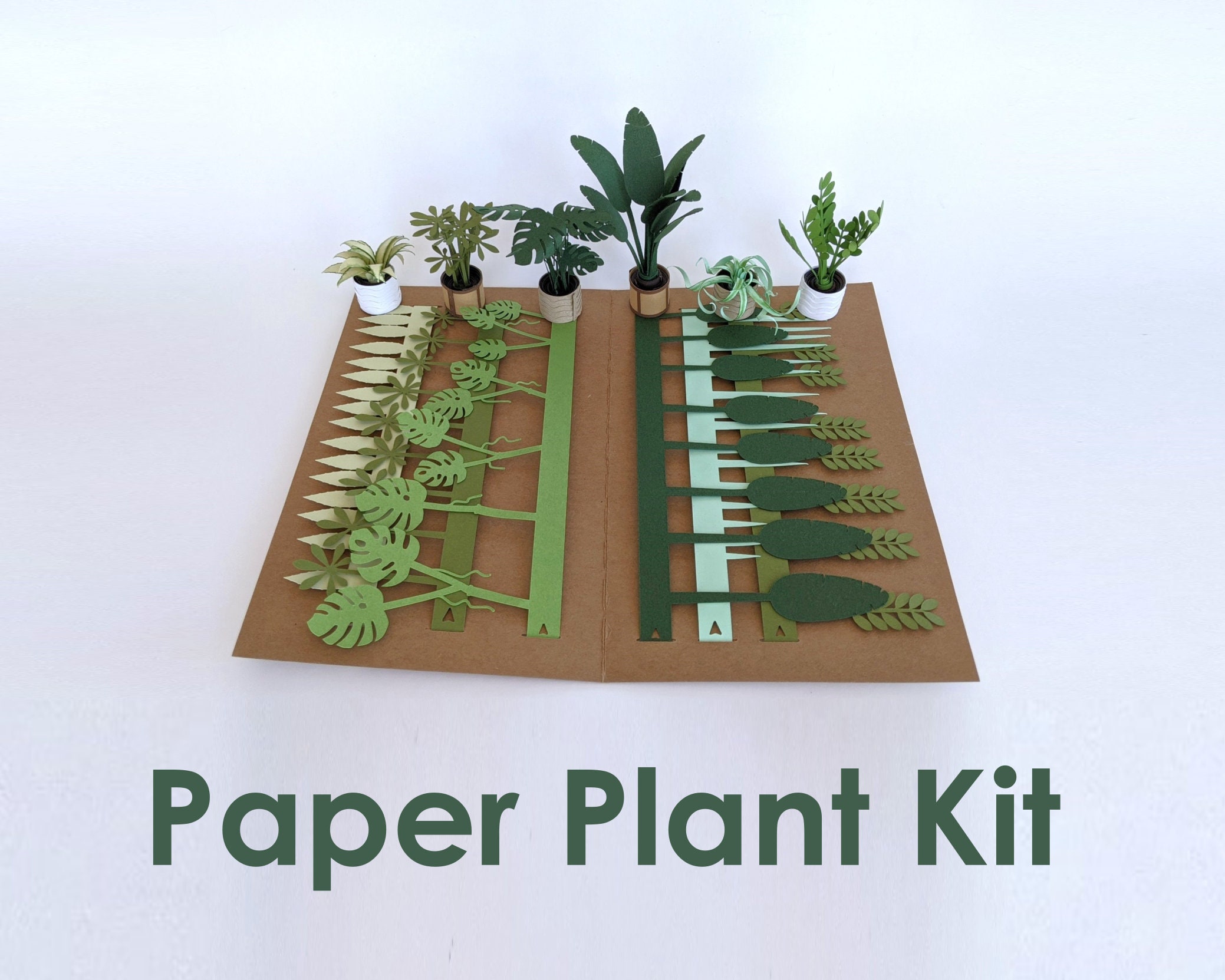 3D Mini Paper Plant Kit Easy Precut Paper Craft Activity Etsy