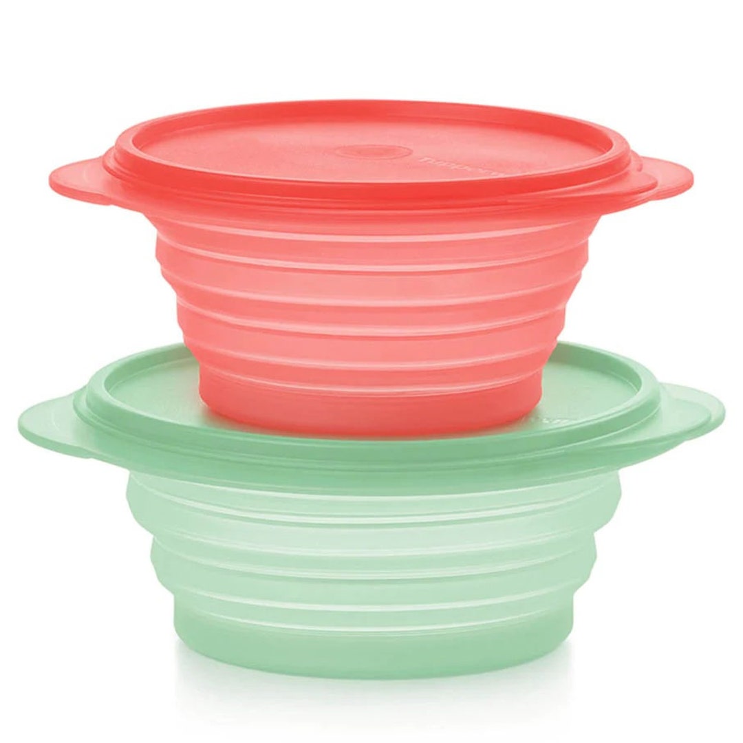 Limited Time Special Tupperware Flatout Pet Travel Bowl Set Etsy
