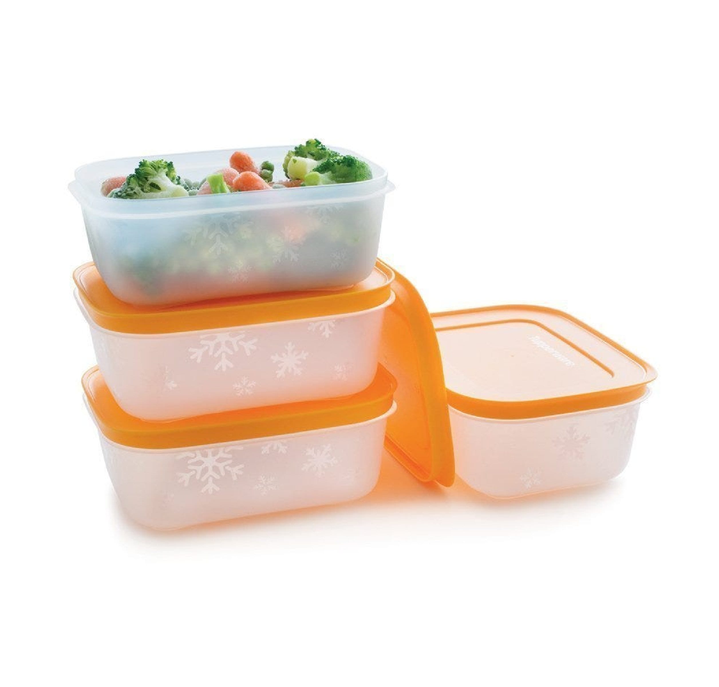 Tupperware Alaska Series Freezer Storage Container Set of 5 – ezmarketim