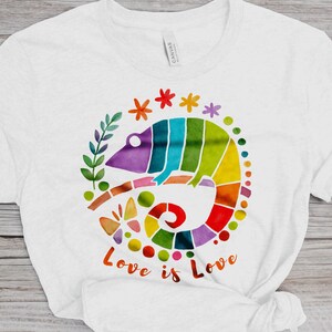 Love Is Love T-Shirt, Love Is Universal T-Shirt, Gay Pride T-Shirt, Equality T-Shirt, Pride T-Shirt, Unconditional Love T-Shirt, Rainbow