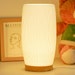 see more listings in the 3D Printed Table Lamp section