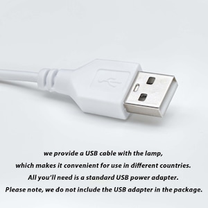 May include: A white USB cable with a standard USB connector. The text on the image reads: "we provide a USB cable with the lamp, which makes it convenient for use in different countries. All you'll need is a standard USB power adapter. Please note, we do not include the USB adapter in the package."