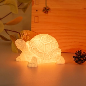 May include: A white ceramic turtle night light with a detailed shell design. The light is on and glowing.