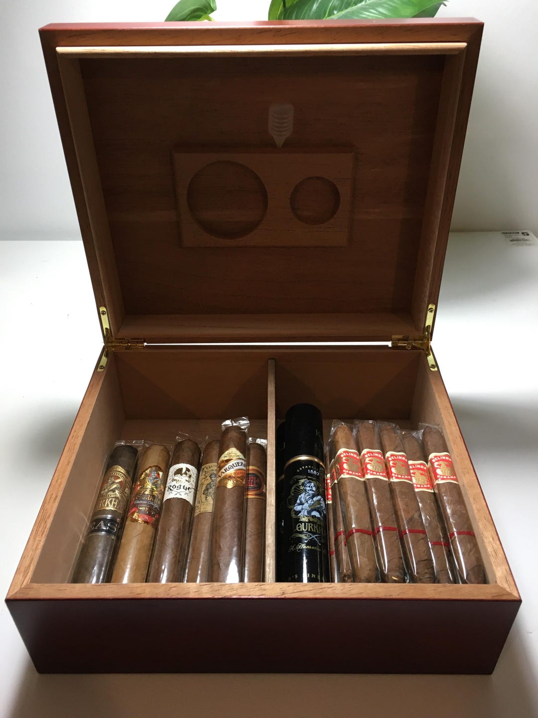 10 Feuilles De Cèdre Espagnol Pour Humidor – Placage Bois Cèdre Pour Boîte à Cigares, Entretien Et Saveur Optimal