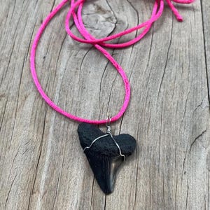 Fossilized Shark Tooth Necklace Pendant, Surfer Necklace, Beach Charm