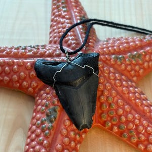Large Fossilized Shark Tooth Necklace Pendant (#3), Surfer Necklace, Beach Charm