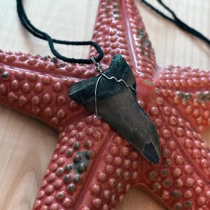 Fossilized Shark Tooth Necklace Pendant (#1), Surfer Necklace, Beach Charm