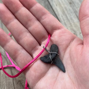Unique Fossilized Shark Tooth Necklace Pendant, Surfer Necklace, Beach Charm