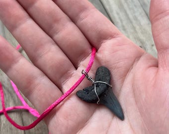 Unique Fossilized Shark Tooth Necklace Pendant, Surfer Necklace, Beach Charm