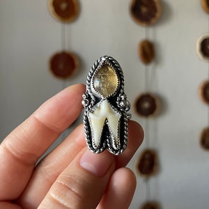 Coyote Tooth and Citrine Handmade Ring