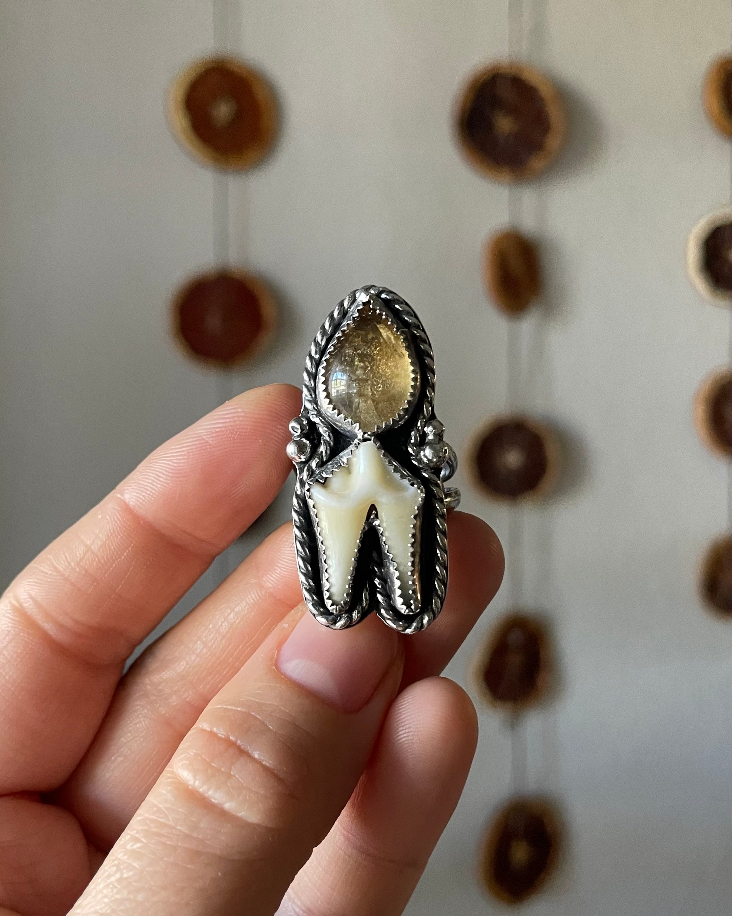 Coyote Tooth and Citrine Handmade Ring