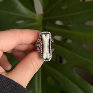 Coyote Bone Handmade Sterling Silver Ring
