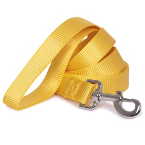 May include: A bright yellow dog leash with a silver clip.