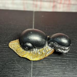 Xenomorph Schnecke