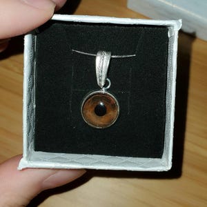Custom Handpainted Dog Eye Pendant Necklace: Stainless Steel