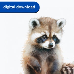 Cute Baby Raccoon Watercolor Art, Digital Download, Forest Animal, Baby Shower Gift