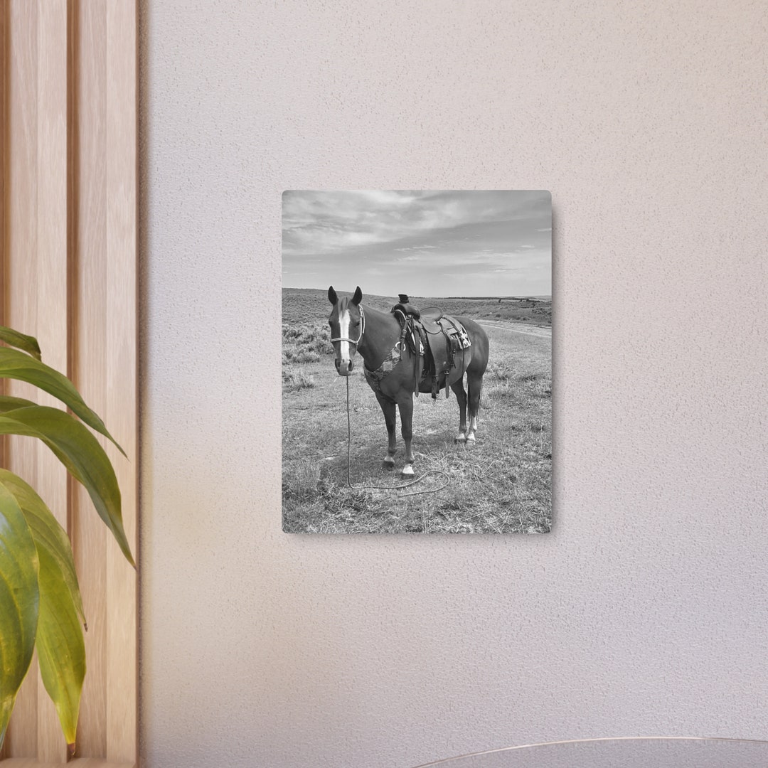 Black and White Horse Wall Decor Metal Print Etsy