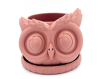 Charming 3D Printed Owl Planter for Small Indoor Succulents and Cheerful Office Decor
