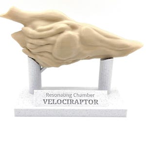 Functional Velociraptor Resonating Chamber with Aztec Death Whistle - Unique Prehistoric Collectible for Jurassic Park 3 Fans