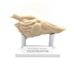 Velociraptor Resonating Chamber – Jurassic Park Fan Collectible Aztec Death Whistle