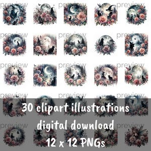 Betoverende grillige illustraties van katten, heksen en feeën met manen en sterren - Instant Download sublimatie ontwerp clipart