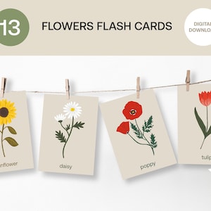 Flower Flash Cards - Handgeïllustreerd, Montessori Digitale Download, Kinderdagverblijf Decor, Educatieve afdrukbare kaarten, Natuurstudie