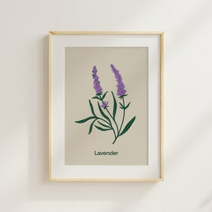 Stampa di lavanda - Stampa floreale illustrata a mano, illustrazione botanica, arte floreale, decorazione murale per bambini, decorazioni per la scuola materna Montessori