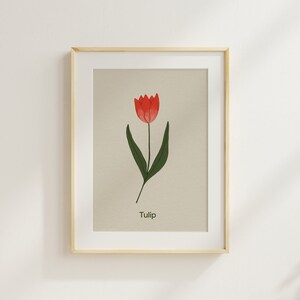 Stampa di tulipani - Stampa di fiori illustrata a mano, illustrazione botanica, arte floreale, arte murale per bambini, decorazione per la scuola materna Montessori