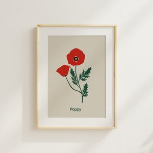 Stampa di papaveri - Stampa floreale illustrata a mano, illustrazione botanica, arte floreale, decorazione murale per bambini, decorazioni per la scuola materna Montessori