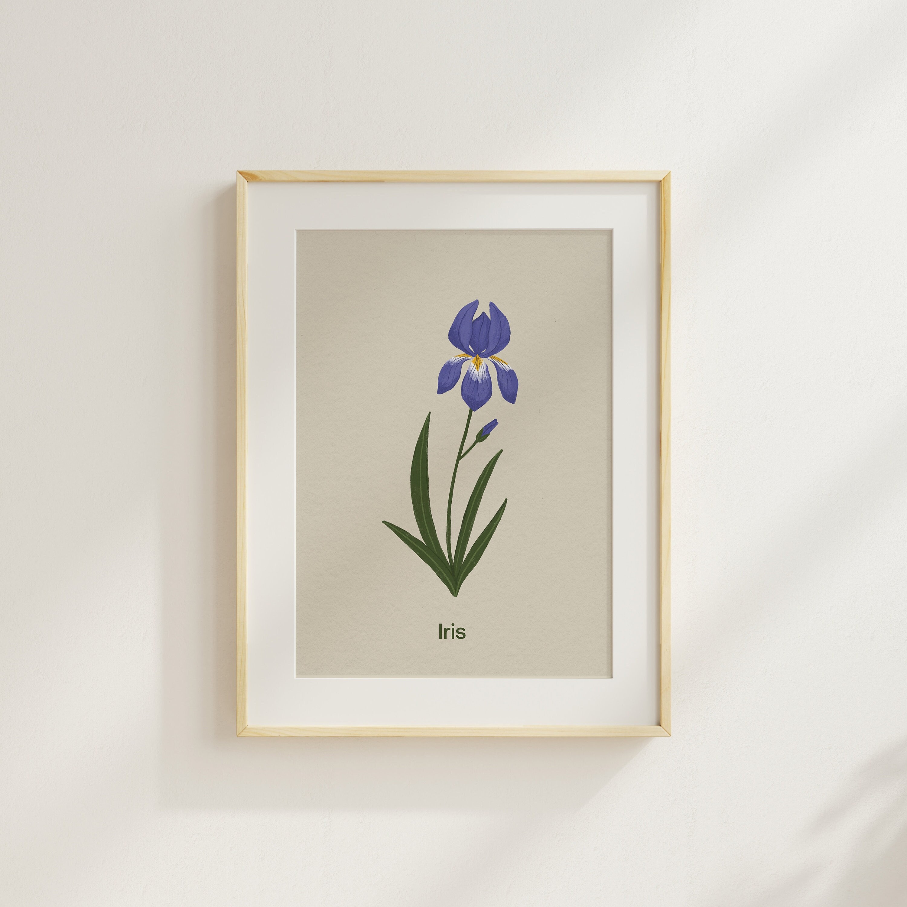 Iris Flower Print: Hand-Illustrated Botanical Wall Art