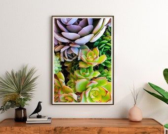 Succulent Plants Green Purple Printable Wall Art Digital Print Download Nature Zen Room Decor
