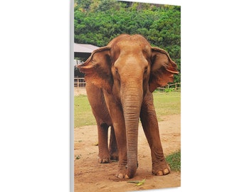 Canvas Thai Asian Elephant Wall Art Spa Zen Nature Animal Room Decor Finished Product