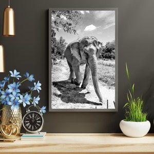 Black and White Asian Elephant Wall Art Digital Printable Nature Download