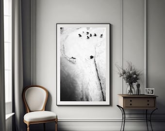 Black and White Sea Birds Wall Art Minimalist Room Decor Florida Digital Printable Download