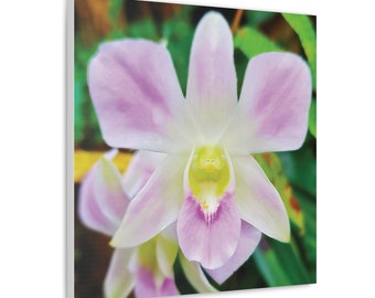 Canvas Pink and White Orchid Wall Art Spa Zen Room Decor Finished Product