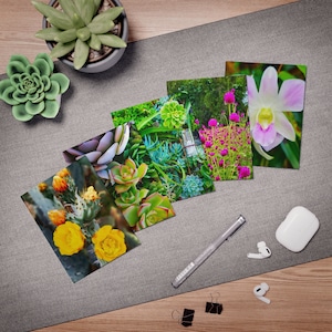 Colección de 5 tarjetas de felicitación con múltiples diseños diferentes: suculentas, florales, cactus, verdes, rosas y amarillas, notas en blanco, postales, regalo personal