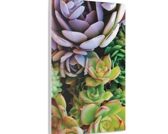 Canvas Succulents Wall Art Spa Yoga Studio Zen Wall Room Decor Finished Product