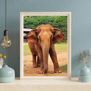 Thai Asian Elephant Wall Art Animal Nursery Room Decor Printable Digital Download