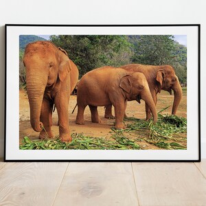 Thai Asian Elephants and Baby Trio Wall Art Printable Digital Nursery Room Wall Decor