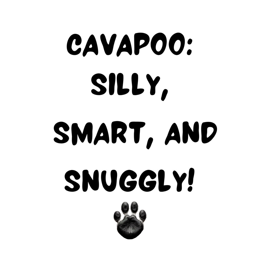 Funny Cavapoo Quotes SVG Whimsical Dog Sayings for Crafts, Humorous Dog ...