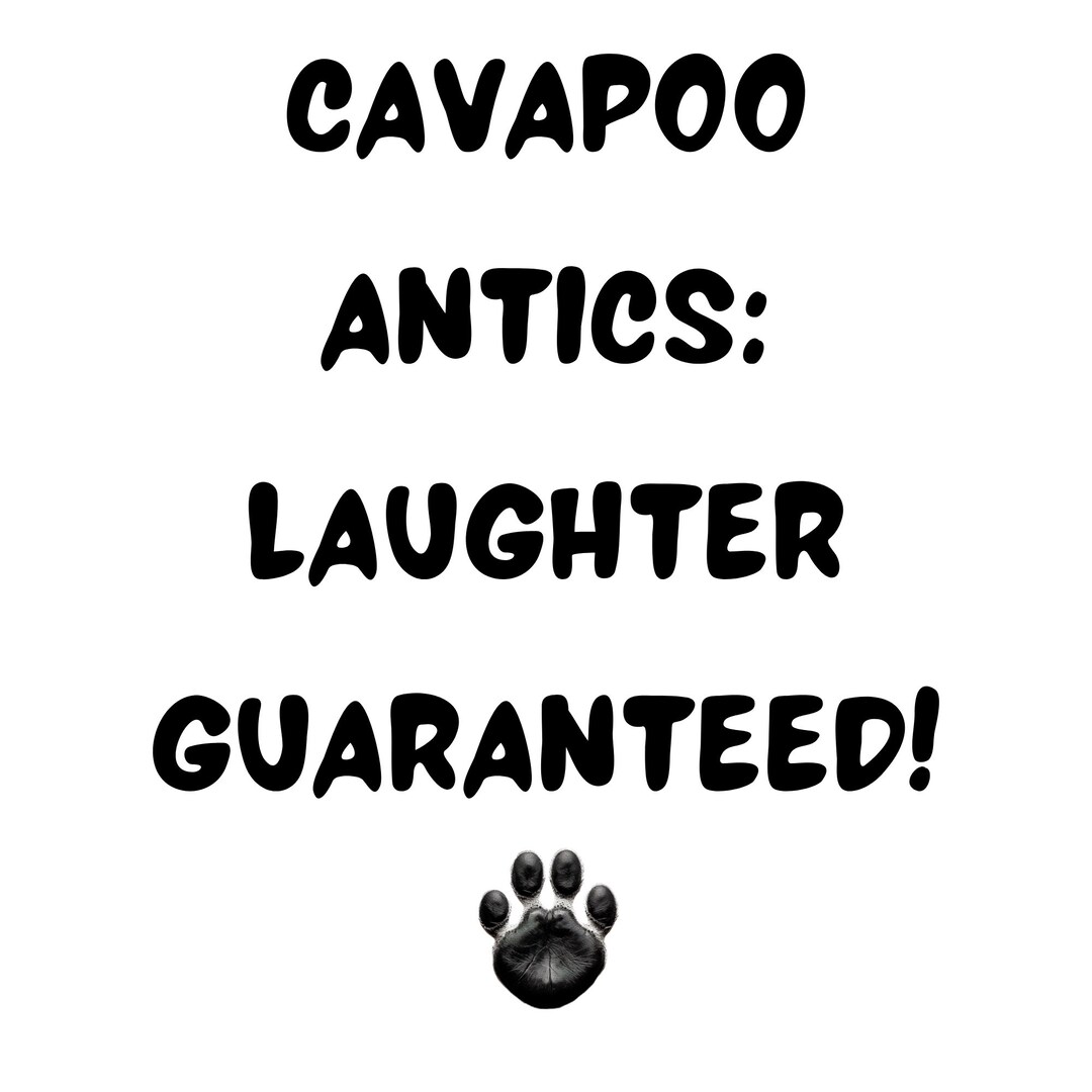Cavapoo SVG Quotes Funny Dog Sayings Playful Cavapoo Phrases my-dog-isn-t-spoiled-funny-saying-t-shirt-zazzle-shirts-t-shirt