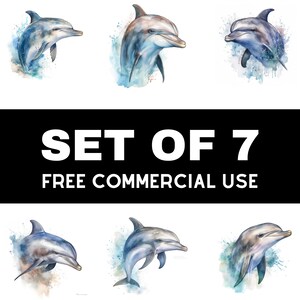 Dolphin Clipart - 7 High Quality JPGs - Digital Download - Card Making, Clip Art, Digital Paper Craft, Watercolor, Painting