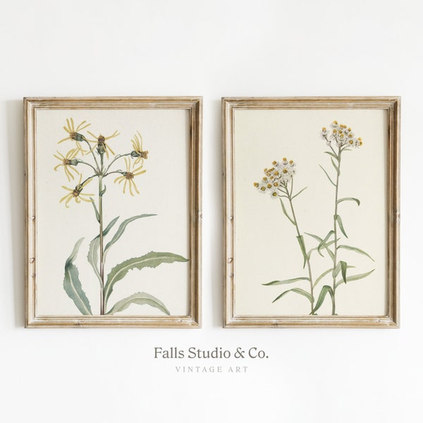Set of Rustic Antique Botanical Floral Paintings — Vintage Wall Art — Digital Download, Printable #112