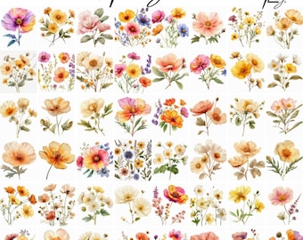 Boho Wildflower Clipart-paket: Vårblommor (digital nedladdning)