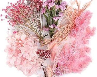 Collection de Fleurs séchées de couleur ROSE au choix pour Mariages EVJF Baptêmes bouquet