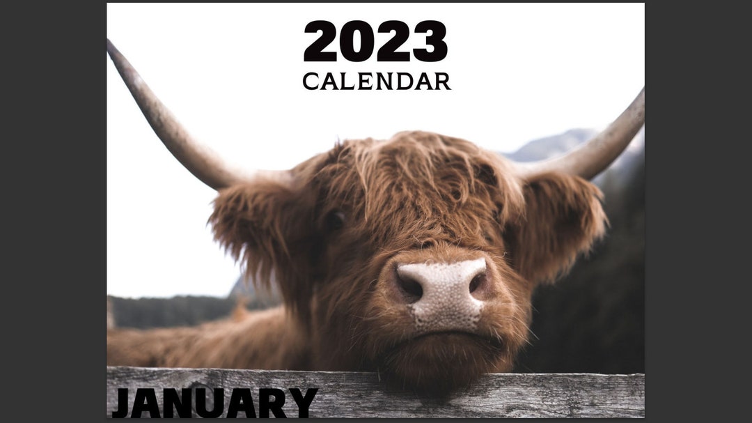 Highland Cow Calendar Etsy