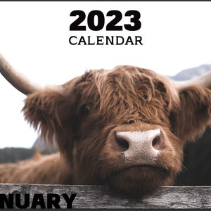 Cow Calendar - Etsy