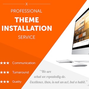 1 day service - WordPress Theme Installation