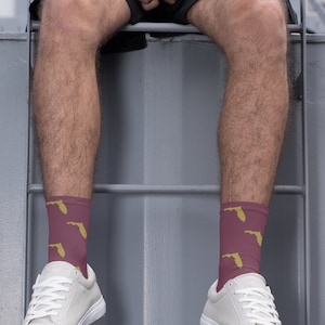 Florida State Game Day Outfit Socks for Men and Women Socks for Fans College Acceptance Graduate Alumni Gift Socks for Groomsmen Fathers Day